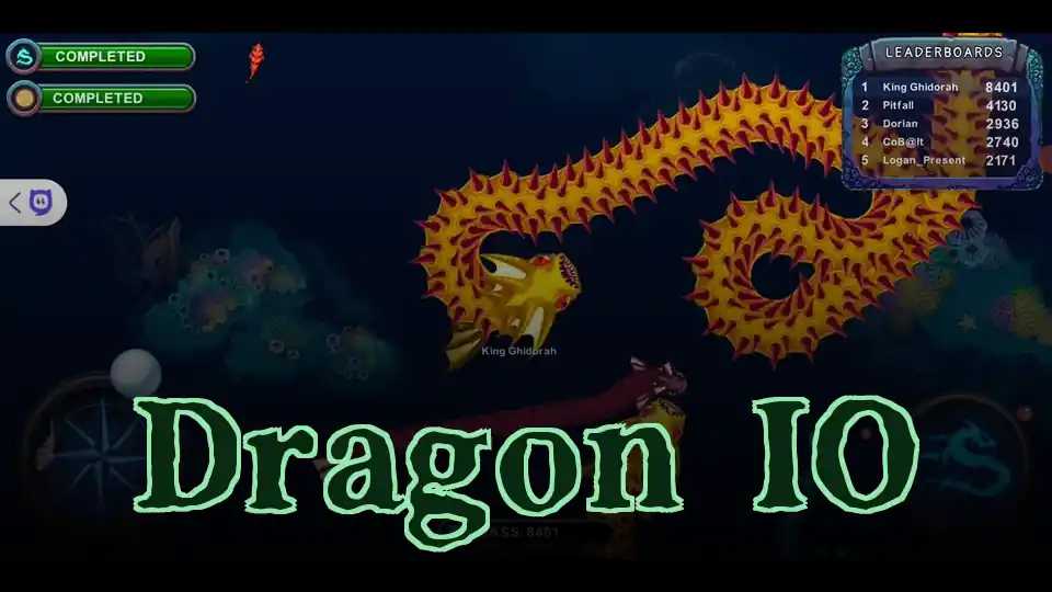 Dragon IO