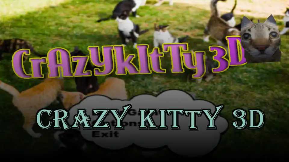 Crazy Kitty 3D