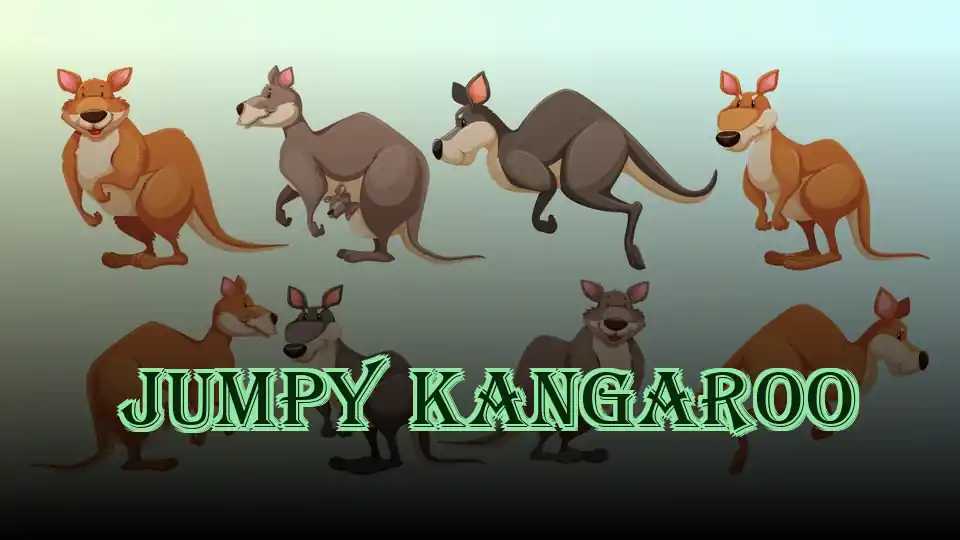 Jumpy Kangaroo