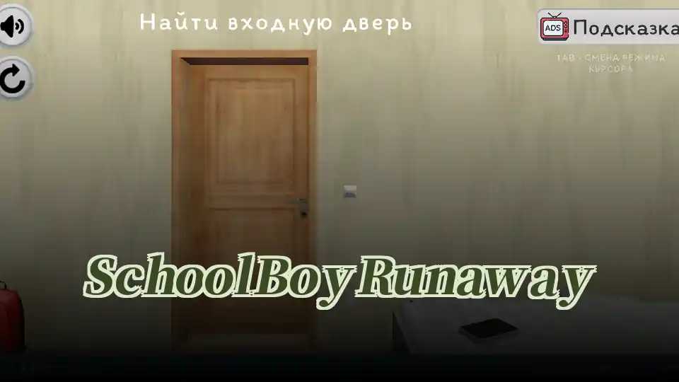 SchoolBoy Runaway